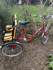 Pashley Adult Tricycle With 2