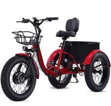 Fat Tire Electric Tricycle for