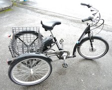 E-Mission Electric Adult