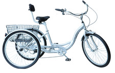 Adult Trike Ammaco Free & Easy