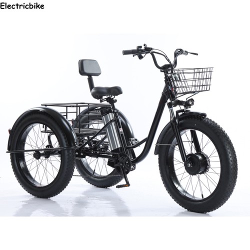 Electric trike 48v - electric,