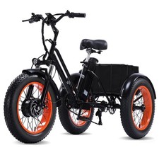 Fat Tire Electric Tricycle for