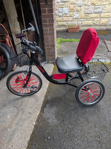 Mobility tricycle teenager - mobility,
