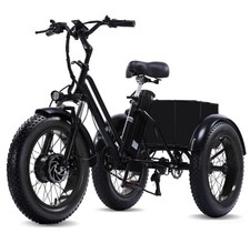 Fat Tire Electric Tricycle for