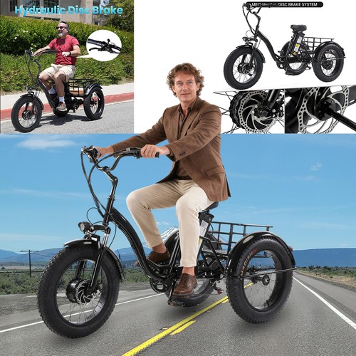 Electric snow tricycle 48v - 20",